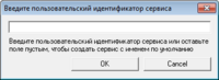 Окно_пользовательский_идентификатор_сервиса.png